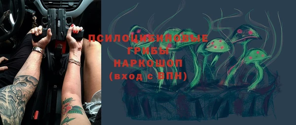 герыч Долгопрудный
