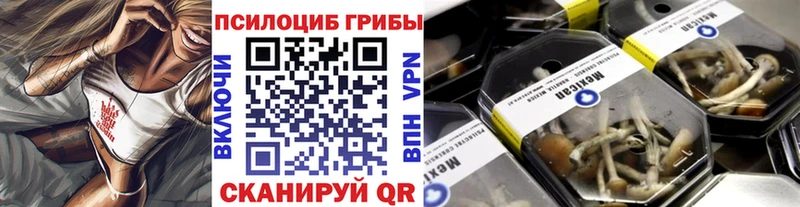 Псилоцибиновые грибы Psilocybe где найти Белово